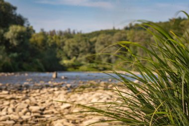 Gün batımında bir dağ nehrinin manzarası