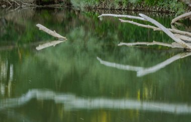 Gün batımında bir dağ nehrinin manzarası