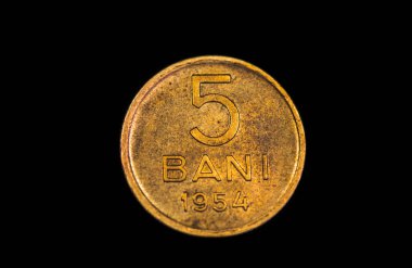 Reverse of a Romanian 5 bani coin 1954