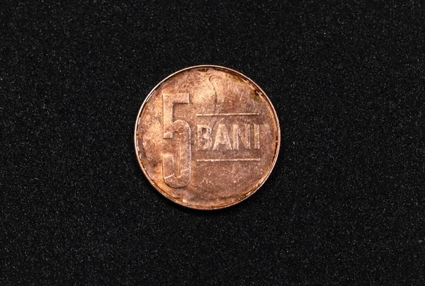 Reverse Romanian Bani Coin 2008 — 스톡 사진