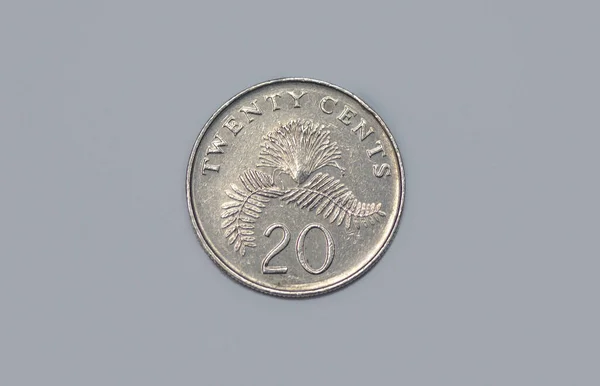 Reverse 2009 Singaporean Cent Coin — Stock Fotó