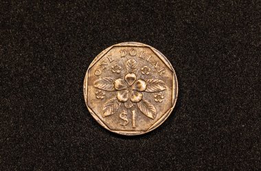 Reverse of a 1987 Singaporean 1 dollar coin