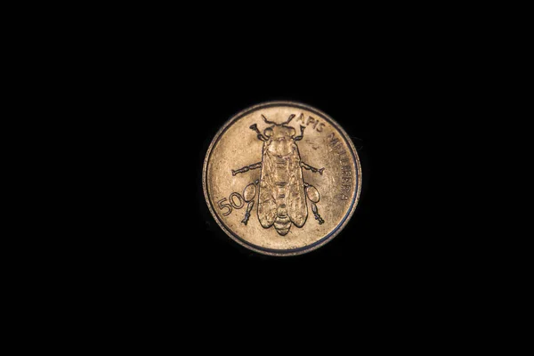 Зворотний Бік Словенської Монети Стотин 1995 Року — стокове фото