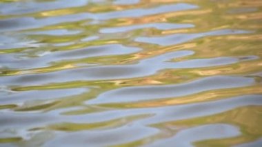 Texture pattern of light on the waves of a mountain river