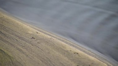 Gentle surf of a mountain river on a sandy shore