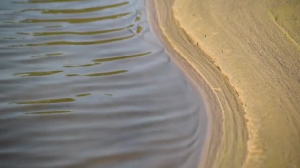 Gentle Surf Mountain River Sandy Shore — Vídeo de Stock