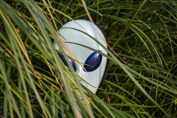 Alien mask on the background of nature