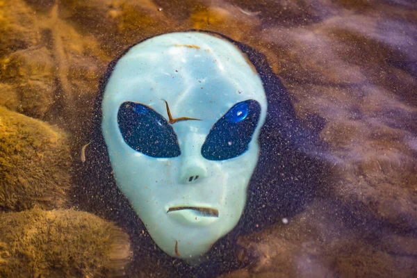 Alien mask on the background of nature