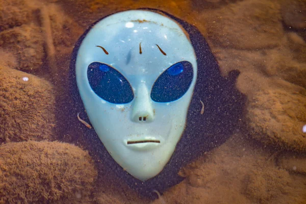 Alien mask on the background of nature