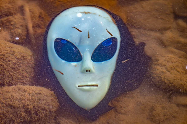 Alien mask on the background of nature