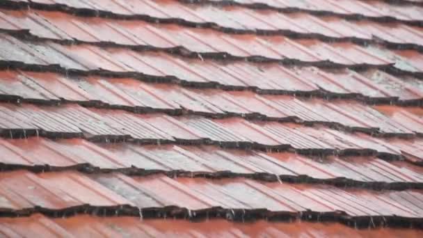 Strong Summer Thunderstorm Tile Roof — Vídeo de Stock