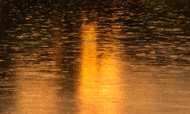 Karanlık bir anahtarla bir dağ nehrinin dalgalarında güneşli bir yol.