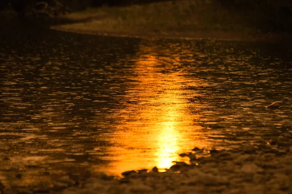 Słoneczna Ścieżka Falach Górskiej Rzeki Ciemnym Kluczu — Zdjęcie stockowe