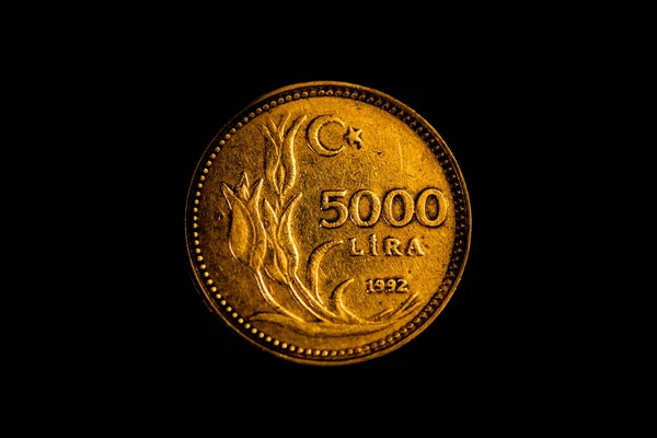 Reverse Turkish 5000 Lira Coin 1992 — 스톡 사진
