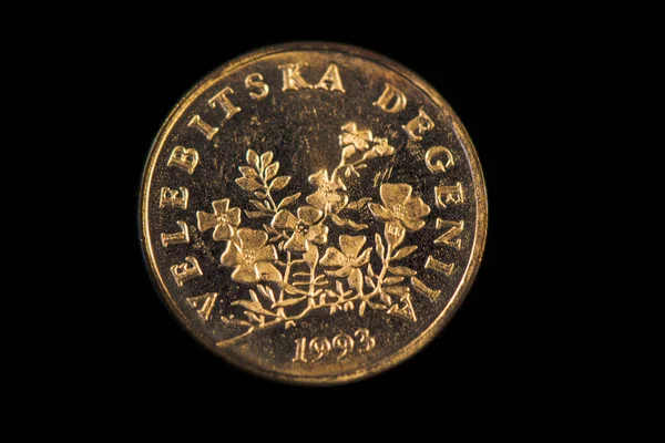 Аверс Хорватской Монеты Лип 1993 Года — стоковое фото