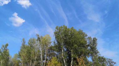 Bir dağ nehri üzerindeki yaz akşamı manzarasının zaman aşımı