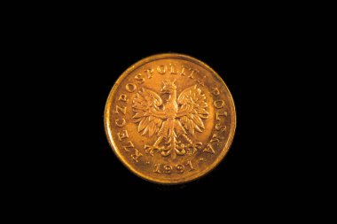 Obverse of the Polish 5 grosze coin of 1991