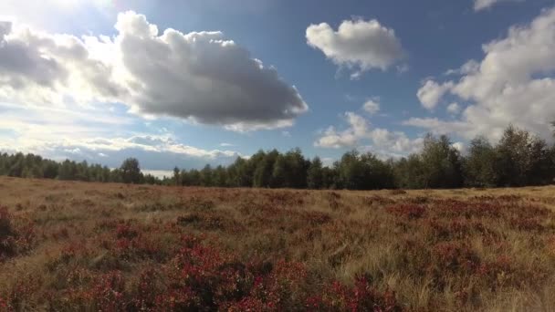 Time Lapse Autumn Carpathians Storm — Stock videók