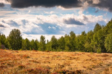 Autumn landscape in the Carpathian countryside