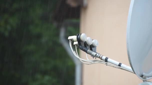 秋天的雨在抛物面天线的背景下倾泻而下 — 图库视频影像