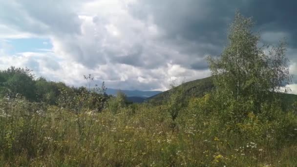 Fırtınadan Önce Bir Dağ Ormanının Sonbahar Manzarası — Stok video