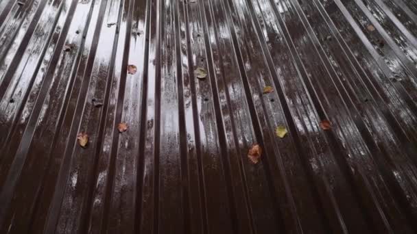 雨落在森林里凉亭的铁顶上 — 图库视频影像