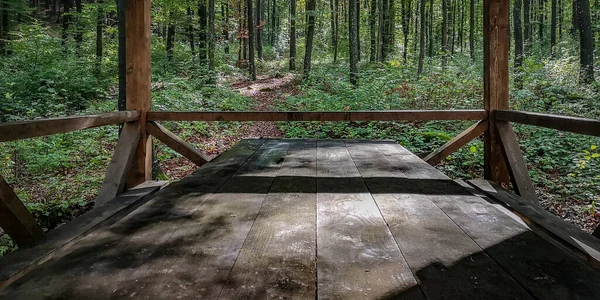 Vista Del Bosque Montañoso Haya Otoño Desde Mirador — Foto de Stock