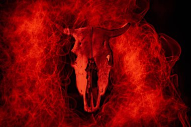 Cadılar Bayramı atmosferli inek kafatası