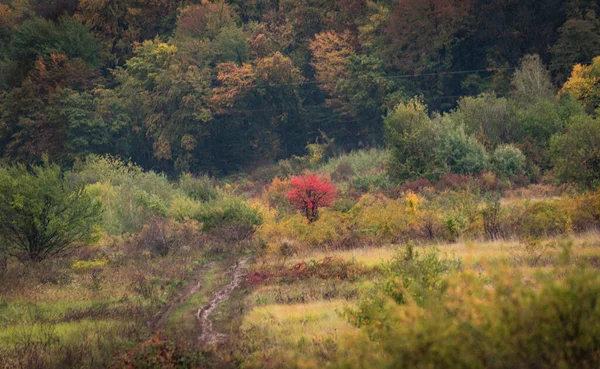 山岳地方の秋の風景 — ストック写真