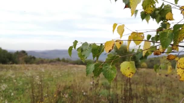 Sonbahar Karpat Dağları Nın Manzarası — Stok video
