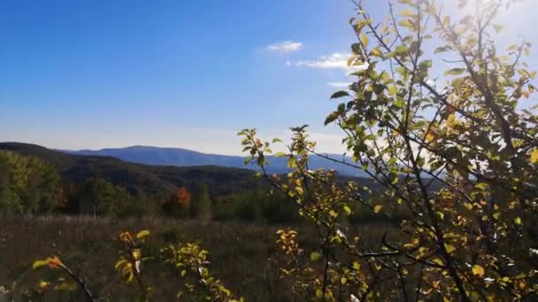 Landschaft Der Herbstlichen Karpaten — Stockvideo