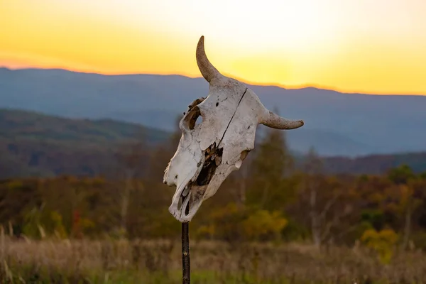 Západ Slunce Horách Kravskou Lebkou — Stock fotografie