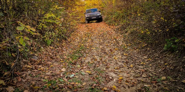 Een Roader Reist Herfst Karpaten — Stockfoto