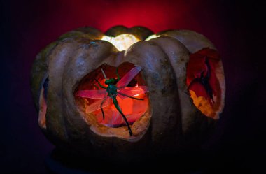 Cadılar Bayramı için hayvan şekilli balkabağı.