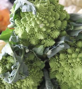 Romanesco brokoli