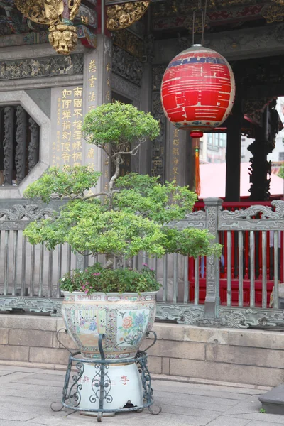 Bonsaï et la lanterne rouge dans un temple Photo De Stock