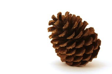 beyaz zemin üzerine Karadağ yumru