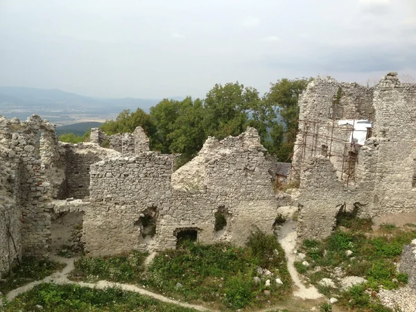 Ruins castle Tematín, Slovakia Stockfoto