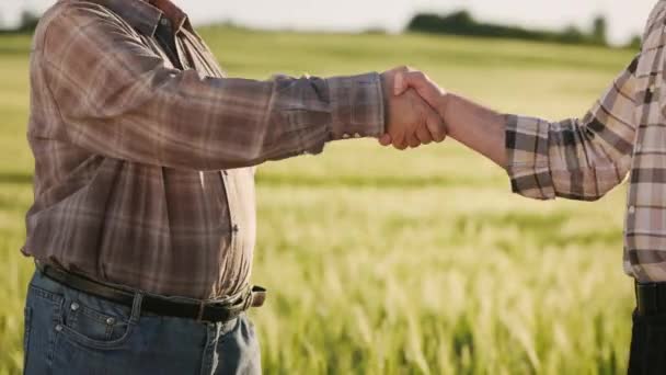 Dwóch farmerów spotyka się i ściskają sobie ręce. Stoją przy boisku. Kamera skupia się na ich rękach. Słońce świeci jaskrawo. 4K — Wideo stockowe