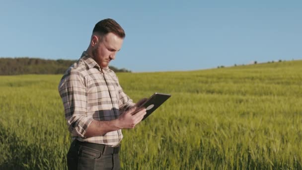De boer staat vlak bij het veld en werkt met een tablet. De zon schijnt stralend. Het veld is op de achtergrond. 4K — Stockvideo