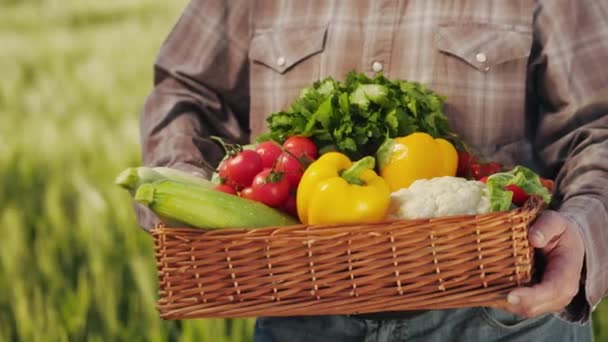 Yaşlı Bir Çiftçi Bir Sepet Sebze Tutuyor Sepette Taze Sebzeler — Stok video