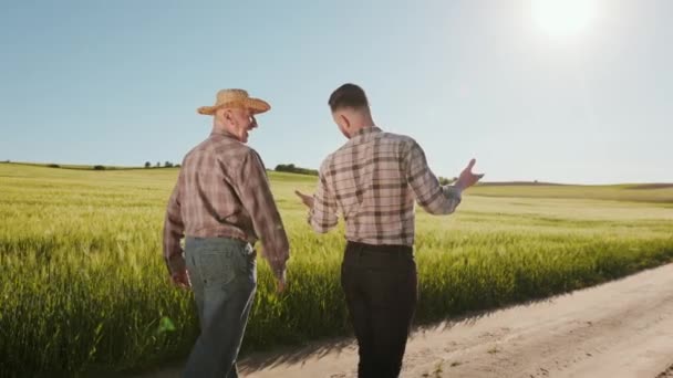 Δύο αγρότες περνούν από το χωράφι και μιλάνε συναισθηματικά. Δείχνουν τα χέρια τους και χαμογελούν. Το χωράφι με το σιτάρι στο βάθος. Πυροβολισμός από πίσω. 4K — Αρχείο Βίντεο
