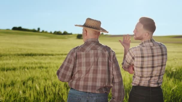 O velho e o jovem agricultor estão ao lado do campo e a falar emocionalmente. Eles estão apontando as mãos para o campo. Campo de trigo no fundo. A disparar por trás. 4K — Vídeo de Stock