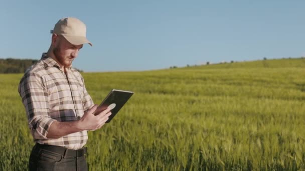 農家は畑の近くに立っており、タブレットで作業しています。太陽は明るく輝いている。彼は頭に帽子をかぶっている。フィールドは背景にあります。4K — ストック動画