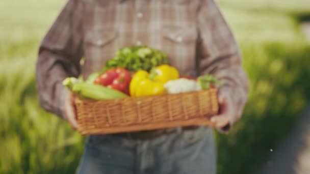 古い農家は野菜のバスケットを保持しています。バスケットには新鮮な野菜やハーブが入っています。彼は畑のそばに立っている。カメラが近づいている。クローズアップ撮影。4K — ストック動画