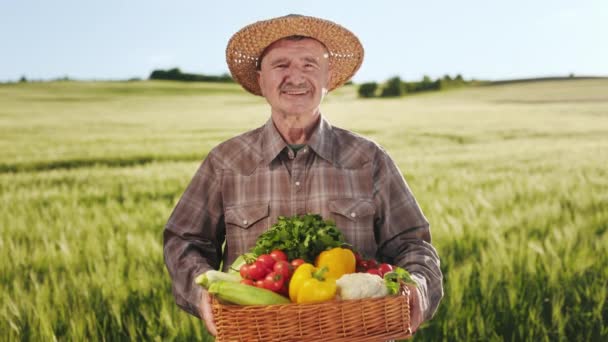 En gammal leende bonde står mitt på ett fält. Han håller i en korg grönsaker. Han tittar på kameran. Han har en hatt på huvudet. 4K — Stockvideo