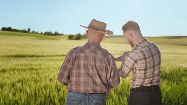 Ο γέρος και ο νεαρός αγρότης στέκονται στο χωράφι και μιλάνε συναισθηματικά. Συζητούν το ρυθμό ανάπτυξης της σοδειάς. Πυροβολισμός από πίσω. 4K — Αρχείο Βίντεο