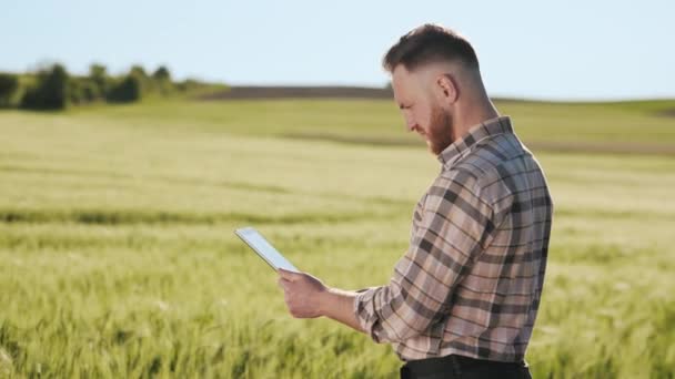Фермер стоит рядом с полем и работает с планшетом. Солнце светит ярко. Камера движется вокруг него. 4K — стоковое видео