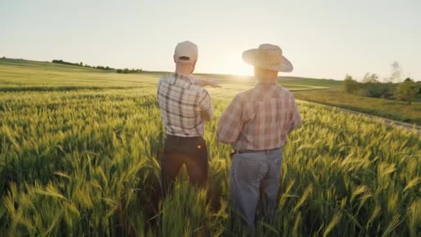 Dois agricultores estão no meio de um campo e a falar sobre a colheita. Estão a acenar as mãos e a apontar para o campo. A disparar por trás. Pôr-do-sol ao fundo. 4K — Vídeo de Stock