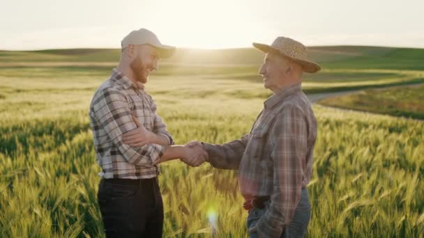 Un uomo sta parlando emotivamente con un vecchio contadino. Sorridono e si stringono la mano. Sono in piedi vicino a un campo di grano. Tramonto sullo sfondo. 4K — Video Stock